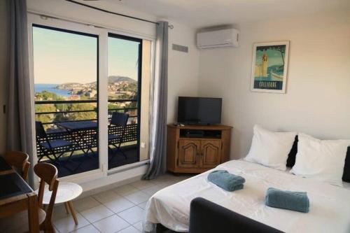 Collioure Vue Mer Parking Gratuit Fibre in Collioure, France