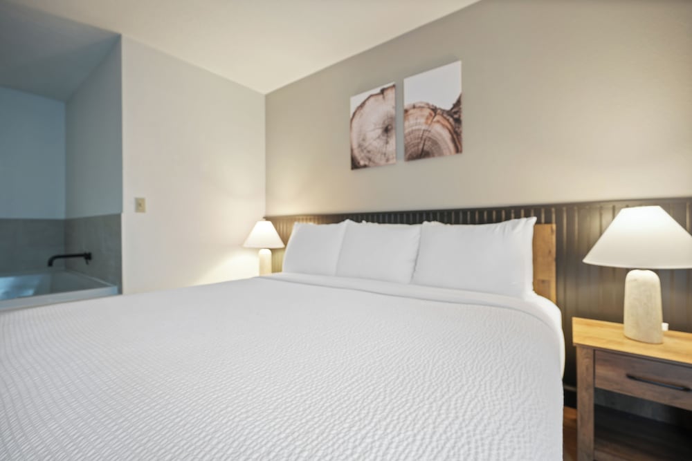 Tremont Lodge & Resort - photo 58