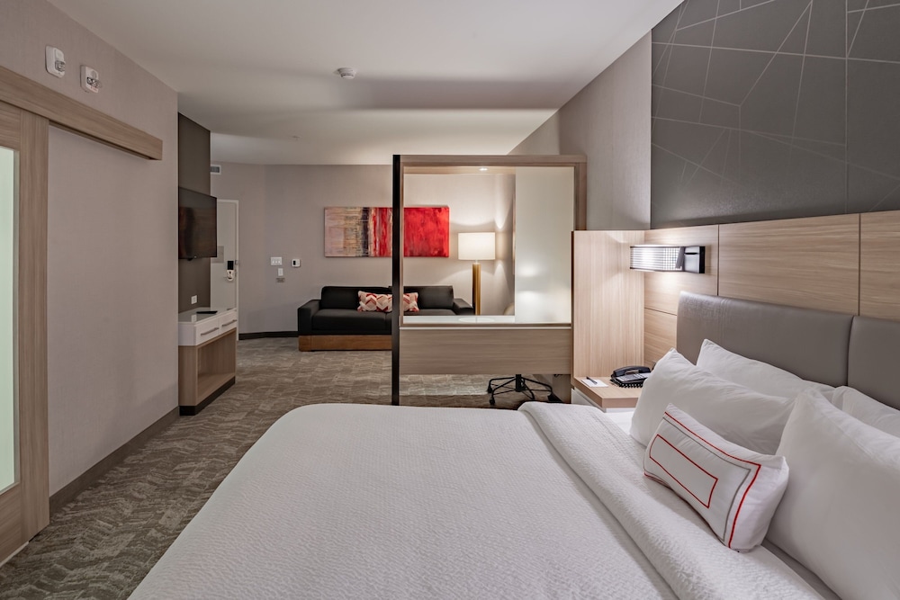 SpringHill Suites by Marriott Dallas Central Expressway - photo 15