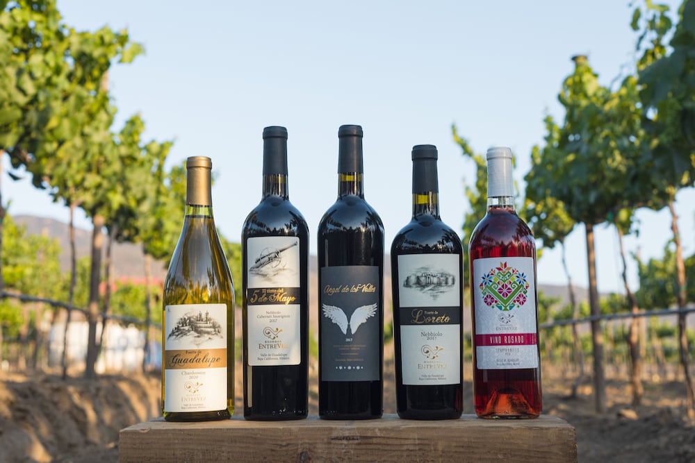 Vineyard