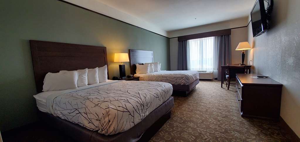 Best Western Plus Emory At Lake Fork Inn & Suites - photo 2