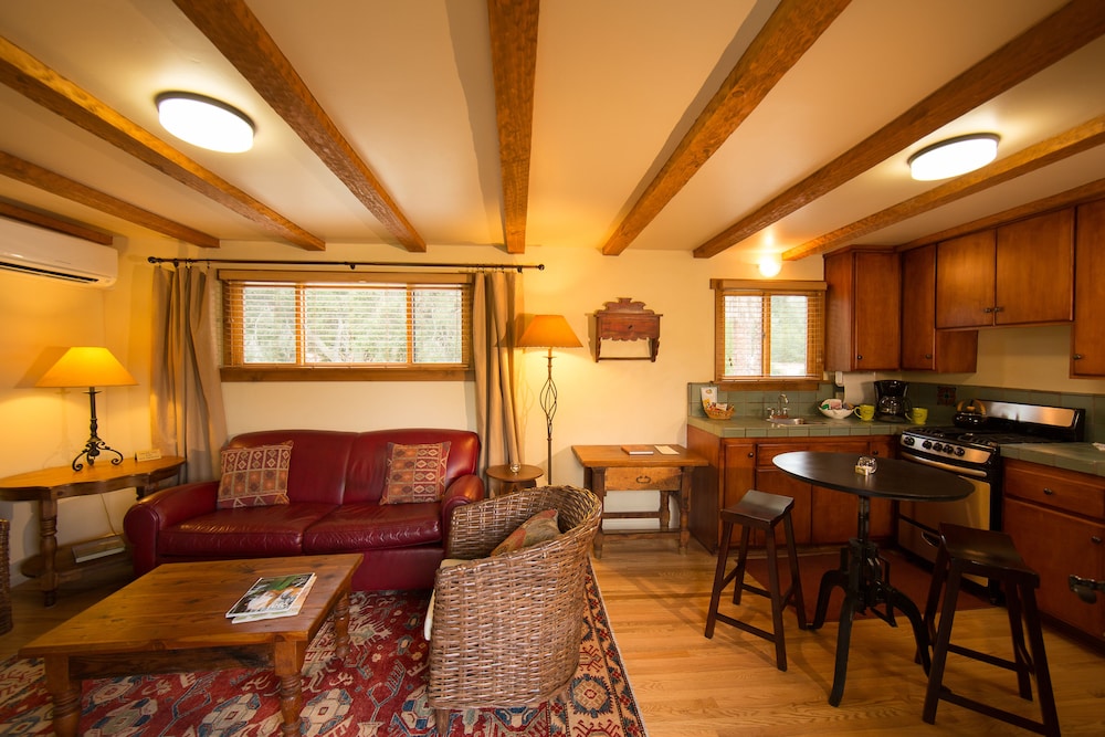 Blue Iguana Inn - photo 2