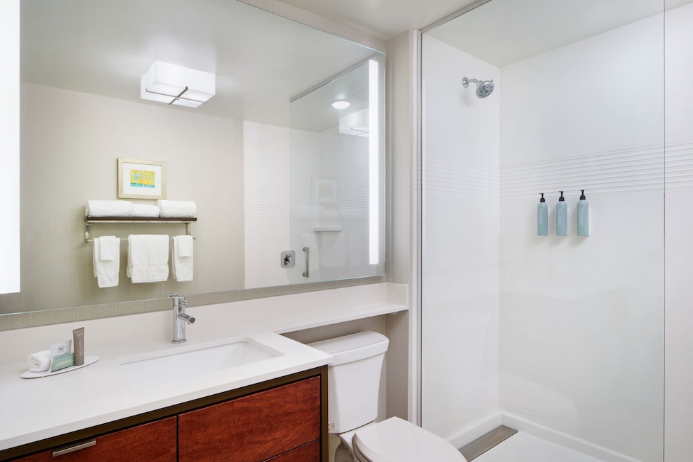 TownePlace Suites by Marriott Orlando Downtown - photo 37