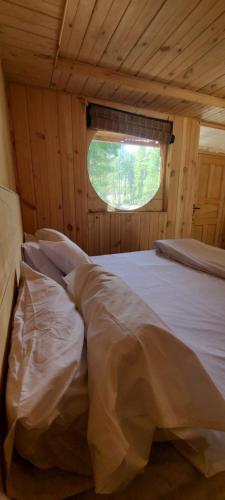 Ecotourism Huts Kumrat in Unknown City, Pakistan