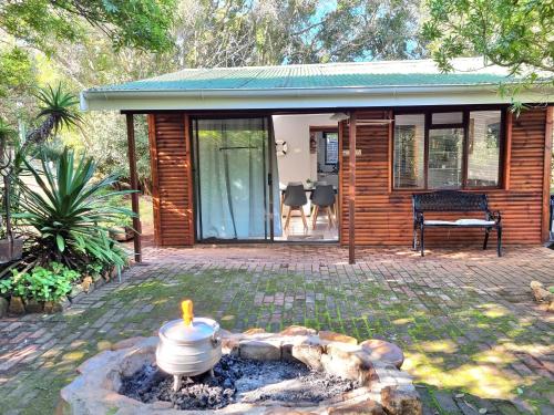 81 Kingfisher in Unknown City, South Africa