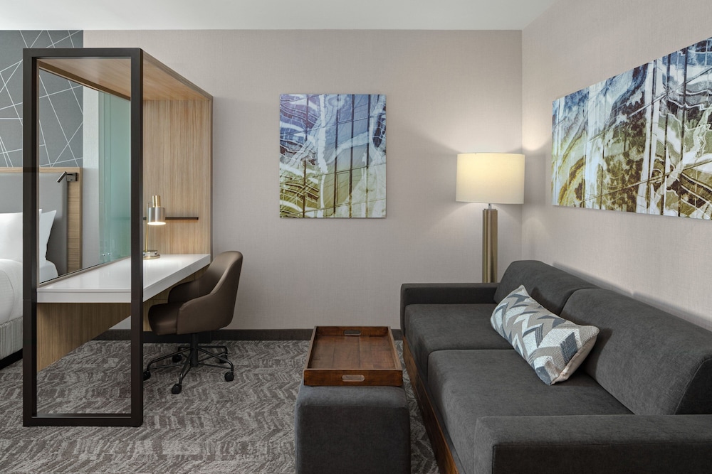 SpringHill Suites by Marriott Kalamazoo Portage - photo 45