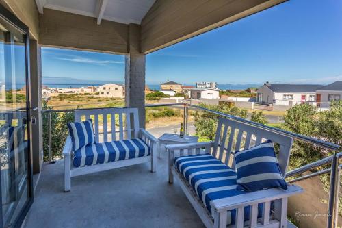 28 Kolgans in Cape Town, South Africa