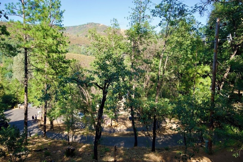 Yosemite Bug Rustic Mountain Resort - photo 59