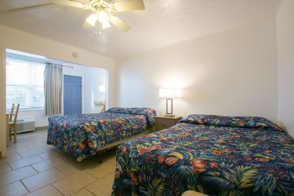 Dolphin Inn Resort - photo 12