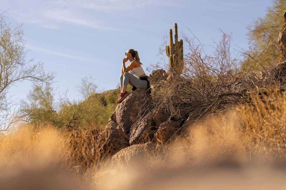 The Phoenician a Luxury Collection Resort Scottsdale - photo 98
