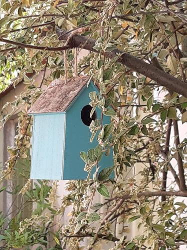 Studio Trocadero 2p Cote Jardin — hotel in Rosny-Sous-Bois