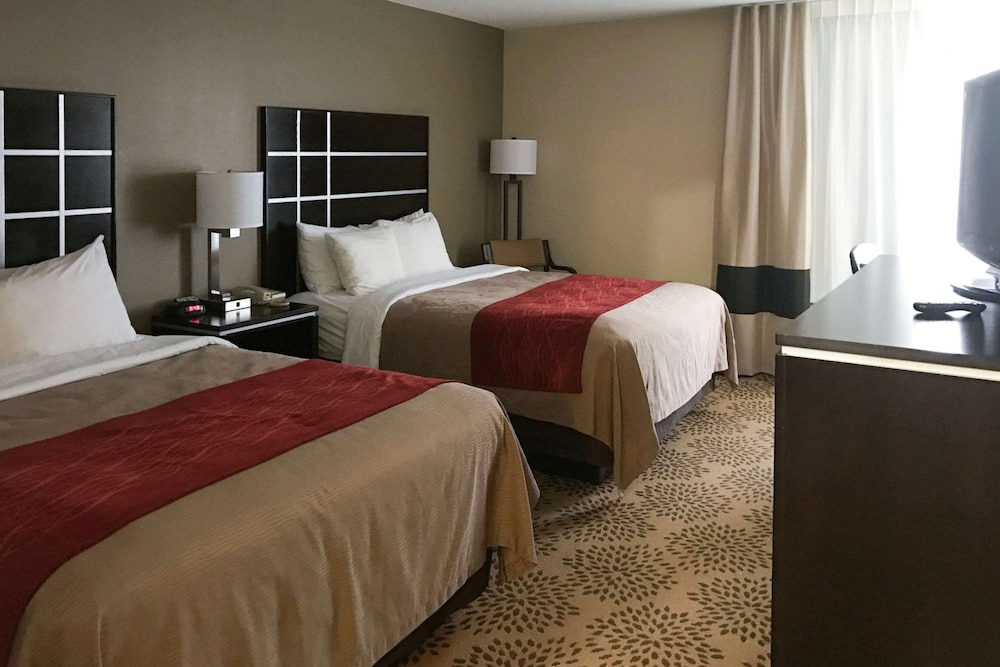 Comfort Inn North of Asheville - photo 29