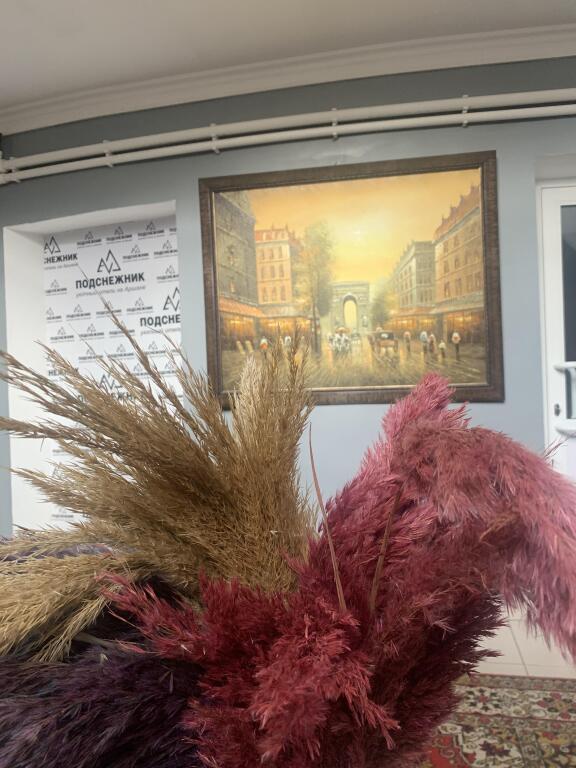 Podsnezhnik Mini Hotel in Arshan', Russia