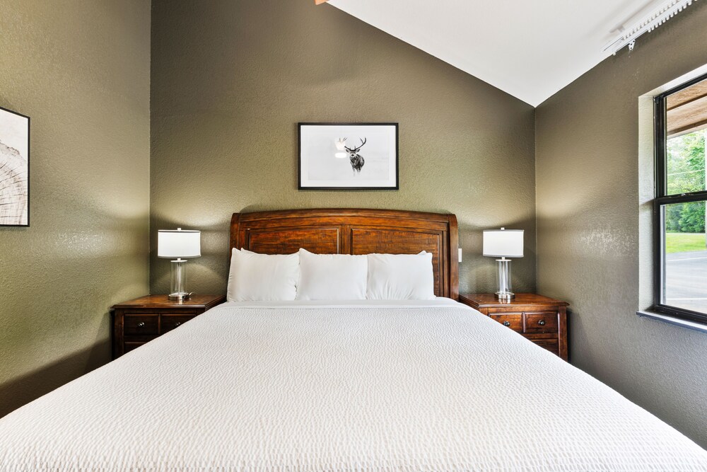 Tremont Lodge & Resort - photo 105