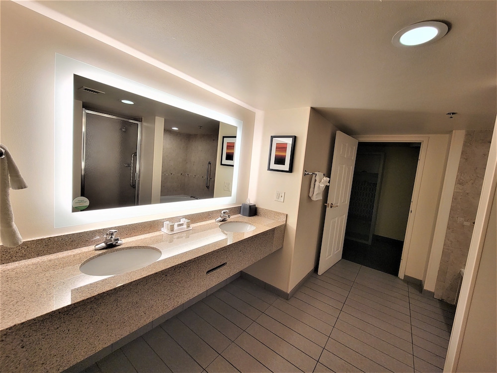 Holiday Inn & Suites Ann Arbor Univ Michigan Area by IHG - photo 25