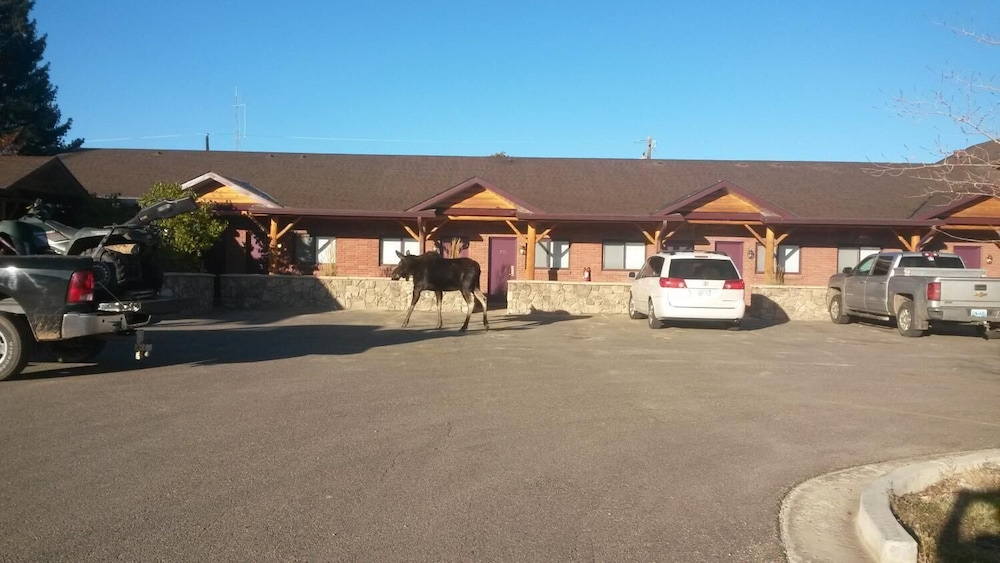 Sundance Motel - photo 26