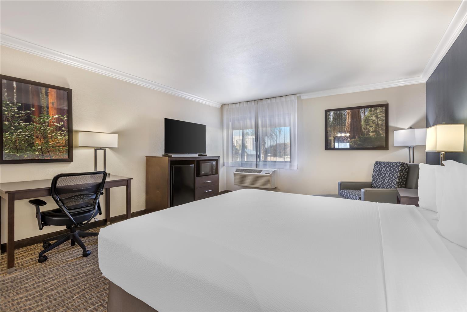 Best Western Town & Country Lodge - photo 18