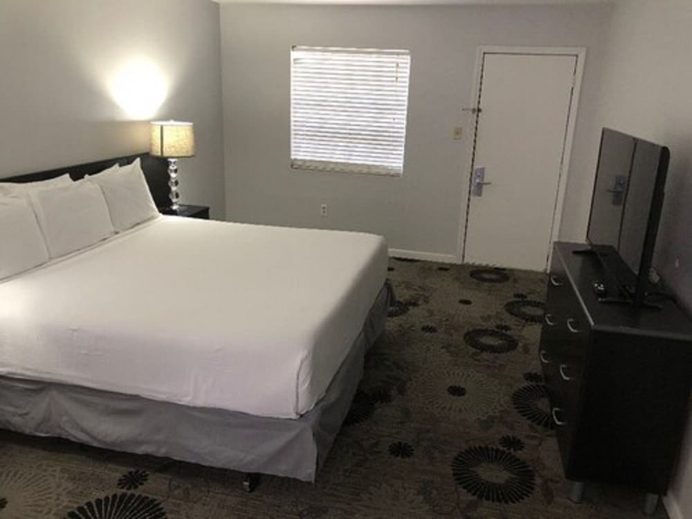 Midtown Hotel Downtown New Orleans - photo 11