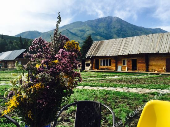 You She in Burqin, People's Republic of China