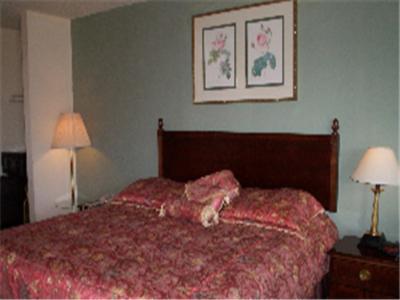 Somerville Inn & Suites - photo 20