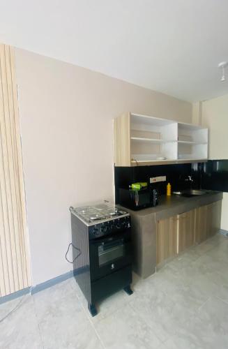Larchwood Apartment