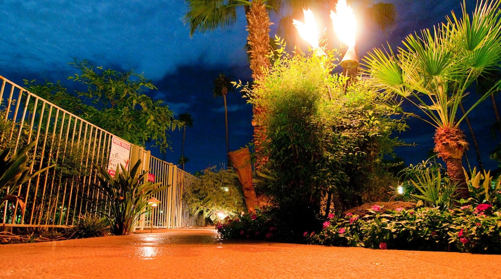Caliente Tropics Hotel - photo 90