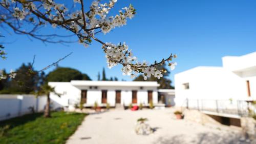 Villa Mia — 4-Star Luxury Hotel in Lecce, Italy