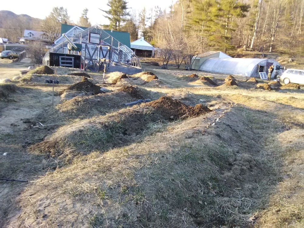 No View Farm Inn & Bakery - photo 57