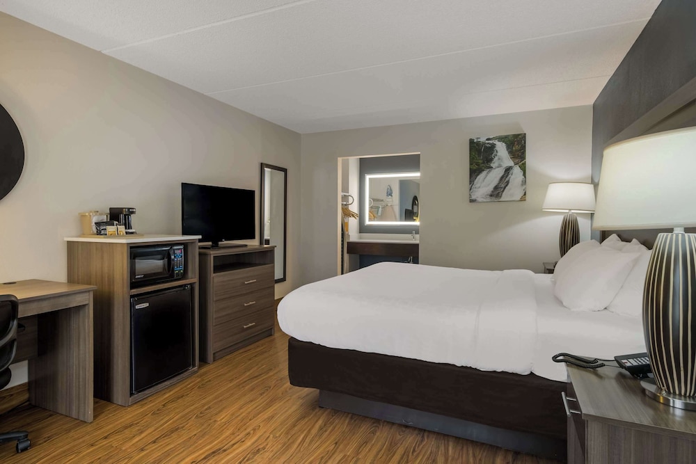 Quality Inn Asheville Airport - photo 21