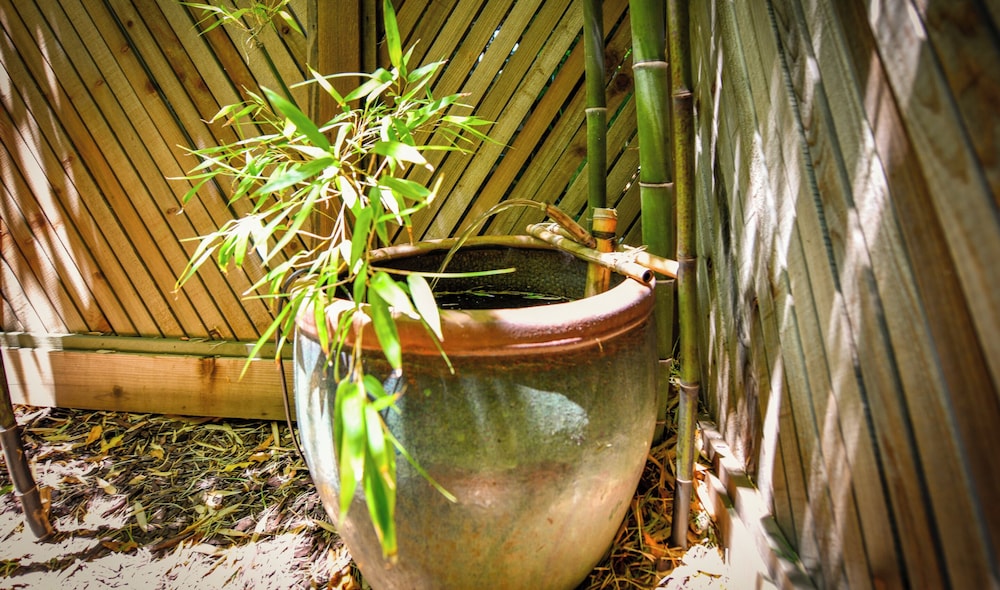 Blackbird Inn - photo 33
