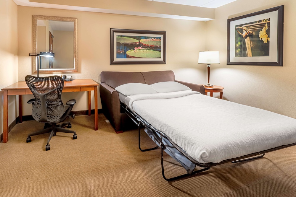 Hilton Garden Inn Houston The Woodlands - photo 11