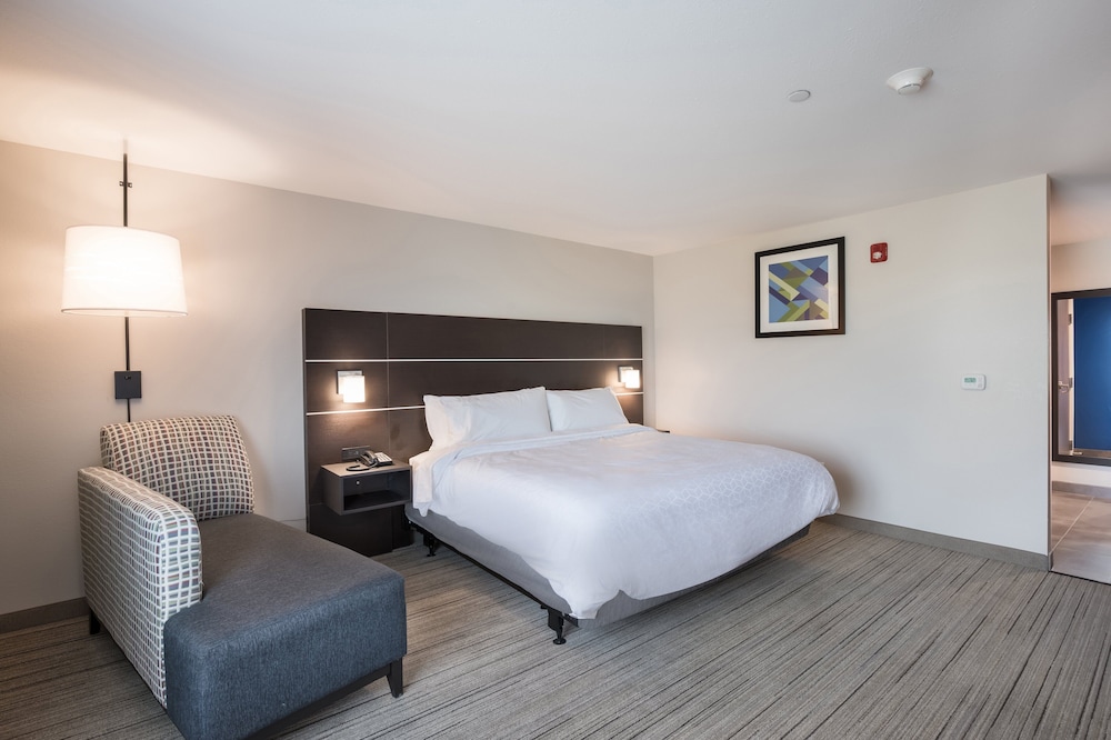 Holiday Inn Express & Suites Chicago Hoffman Estates by IHG - photo 12
