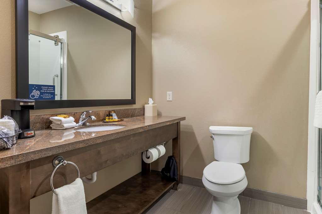 Best Western Plus Fort Stockton Hotel - photo 13