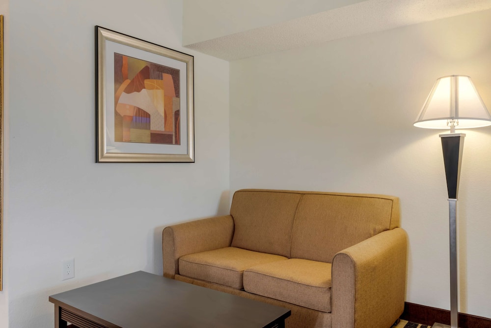Best Western Plus Rockwall Inn & Suites - photo 16