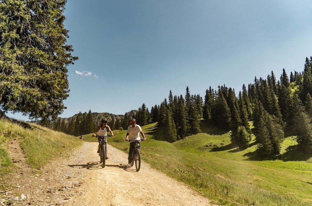 Studio Châtel 1 pièce 4 personnes FR 1 200 323 in Chatel, France