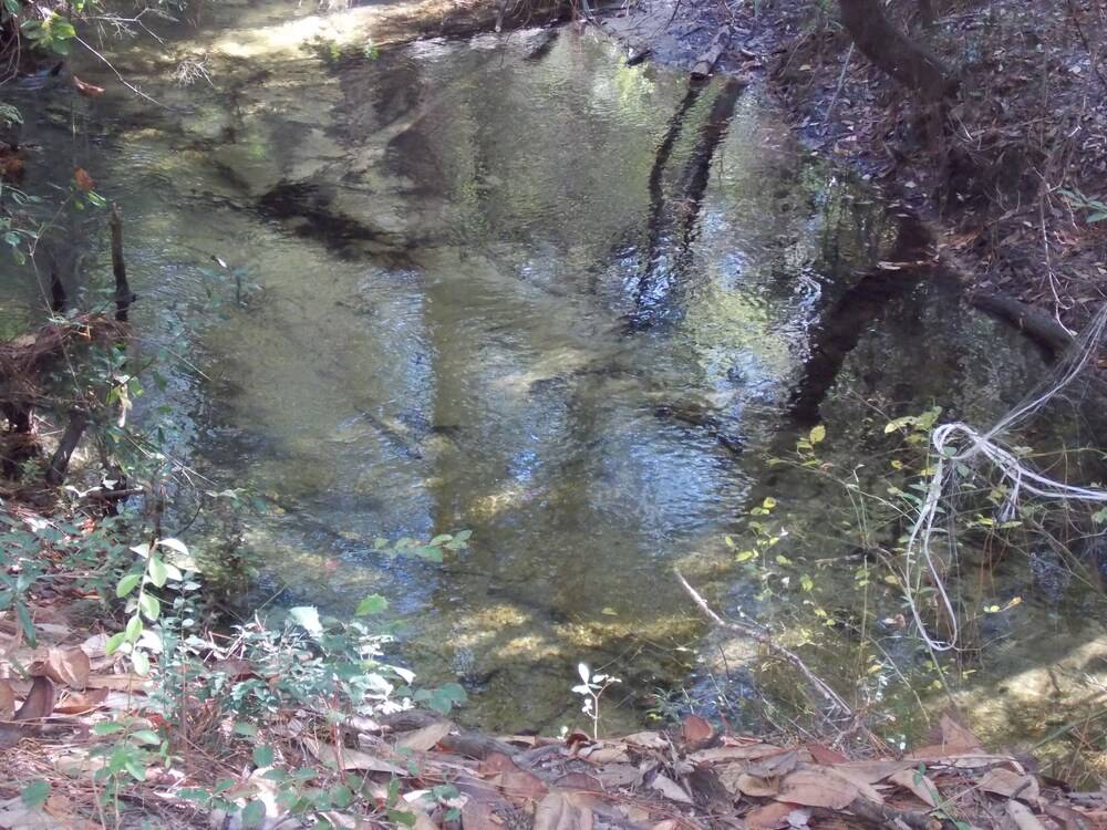 Adventures Unlimited Resort - photo 41