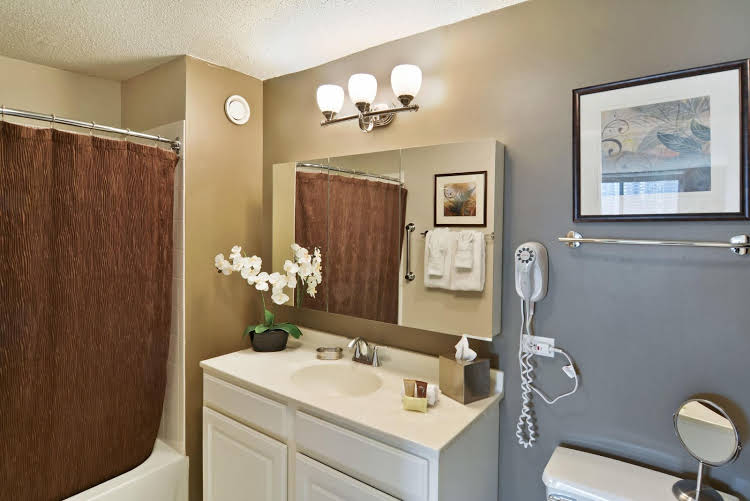 Premier Luxury Suites - photo 11
