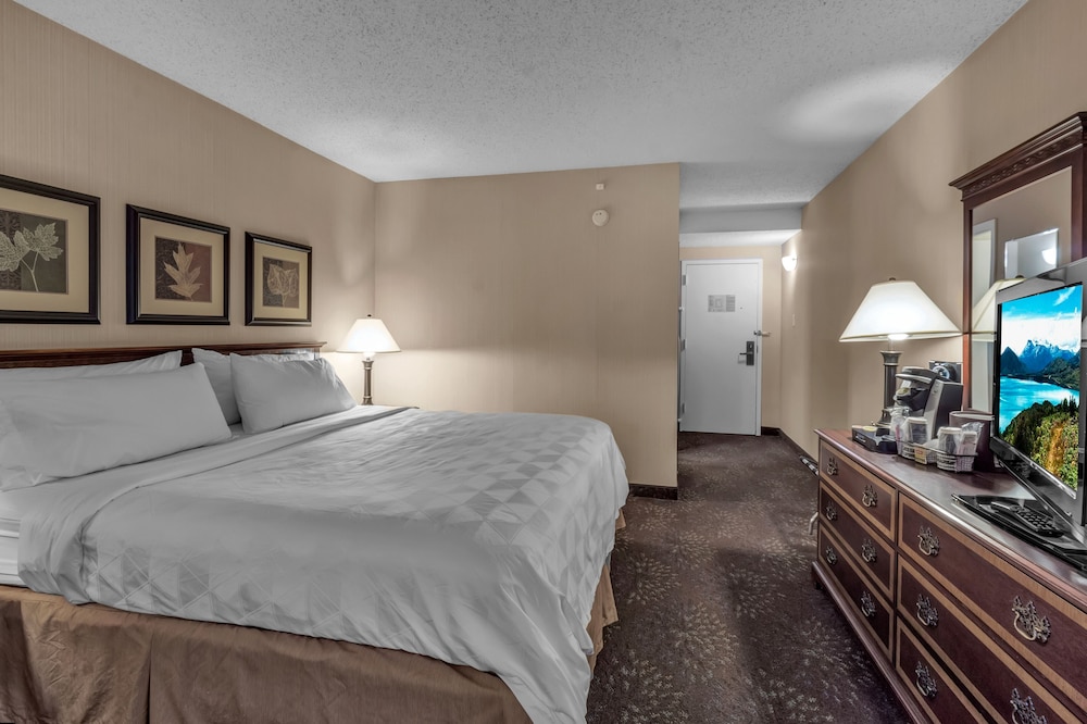 Buffalo Airport Hotel - photo 11