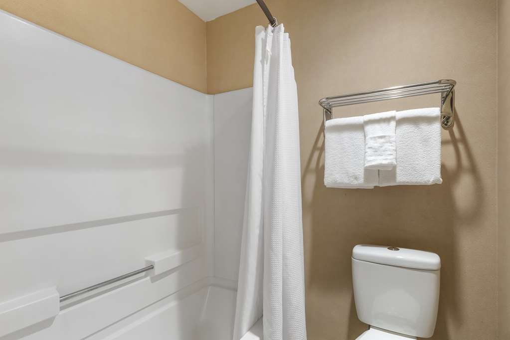 Best Western Plus Landing View Inn & Suites - photo 16