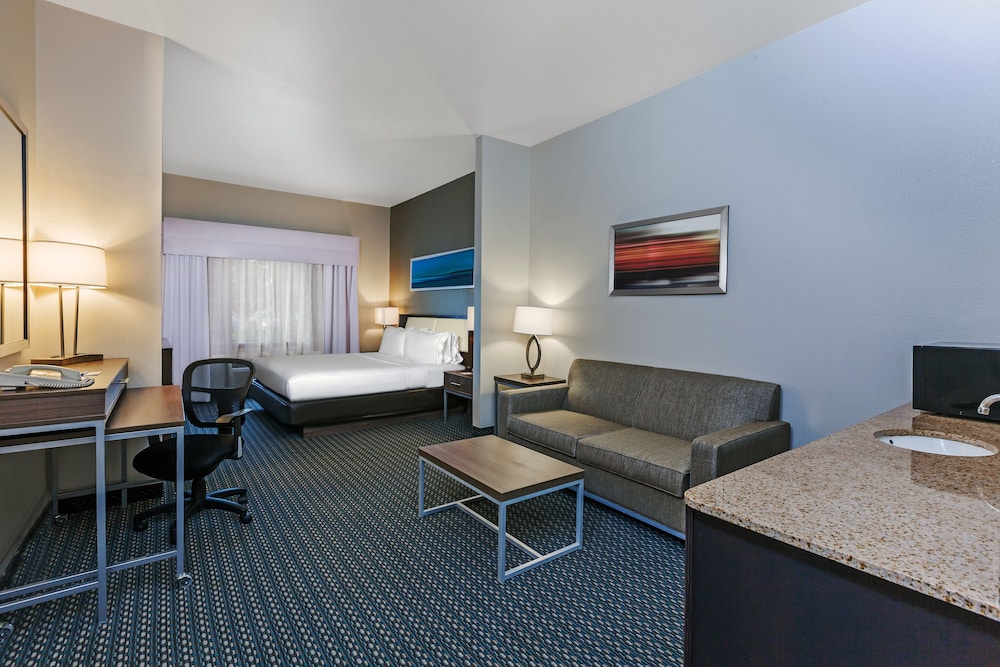 Holiday Inn Express Hotel & Suites Pharr by IHG - photo 12