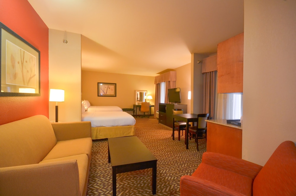 Holiday Inn Express Hotel & Suites Pine Bluff Pines Mall by IHG - photo 12