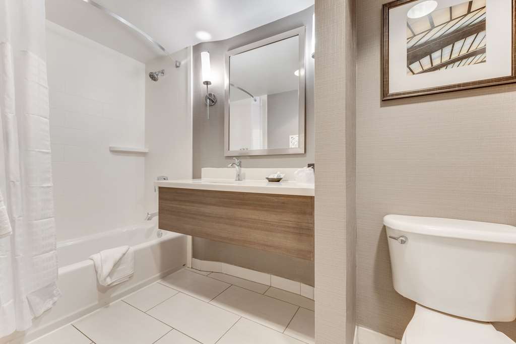 Sonesta Anaheim Resort Area - photo 19
