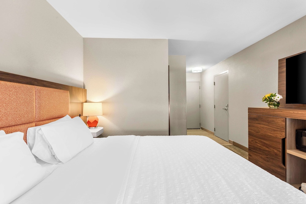 Hampton Inn Knoxville Airport - photo 12