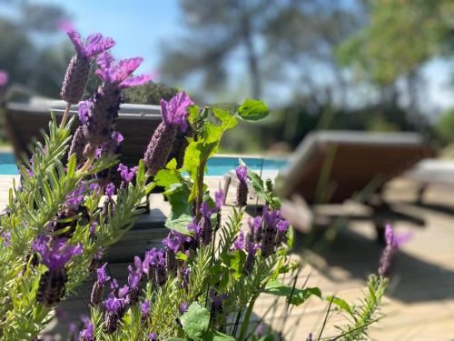 La Finca - last minute hotel in Nimes