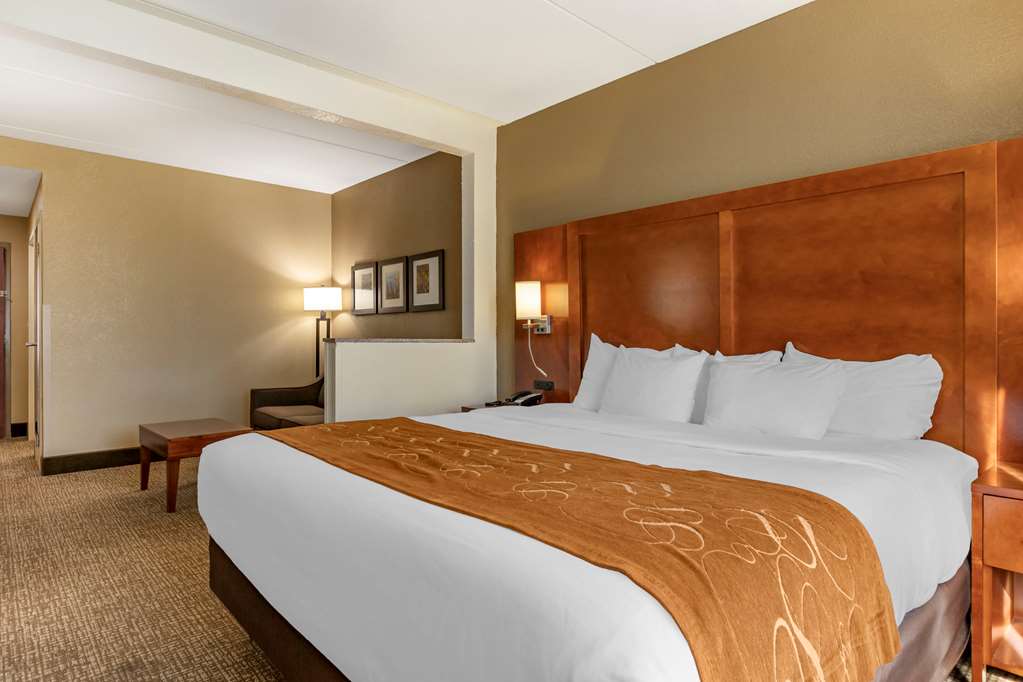 Comfort Suites Grand Rapids South - photo 20