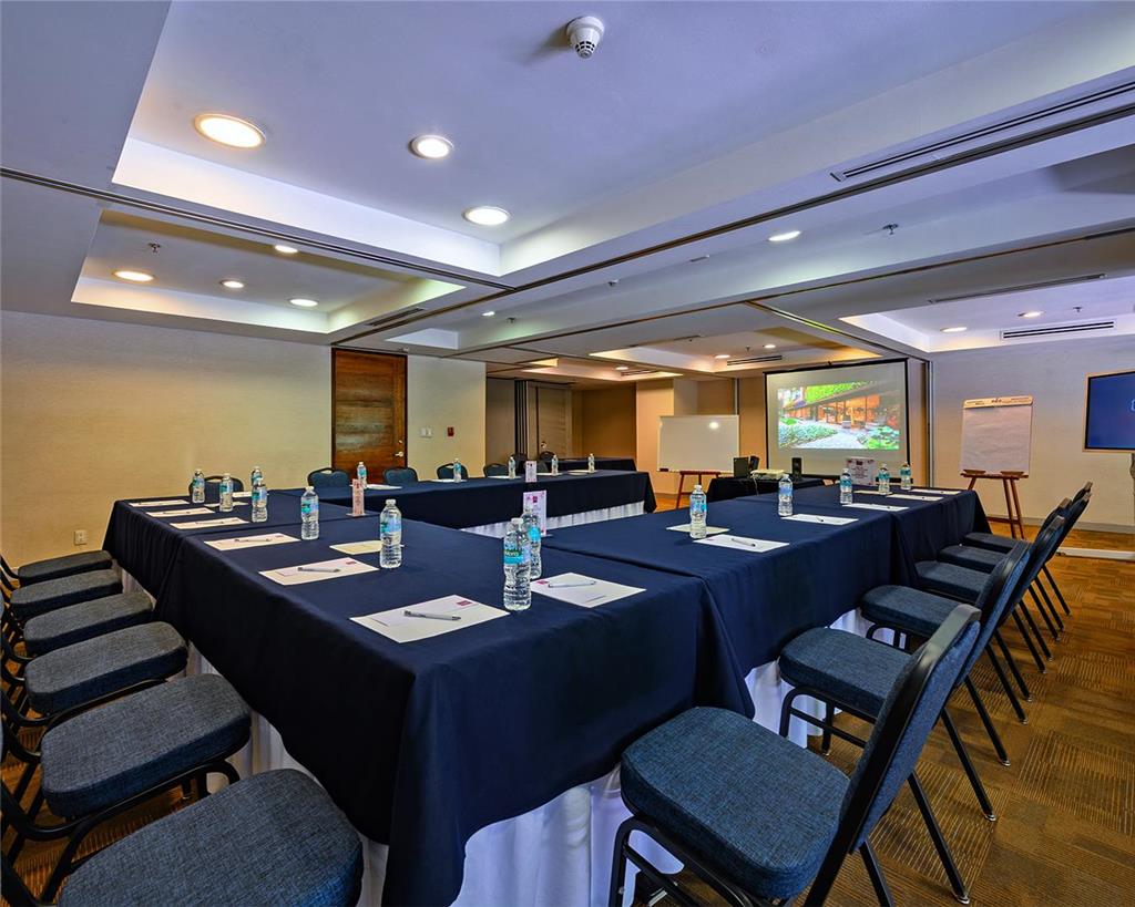 Las Suites Campos Eliseos