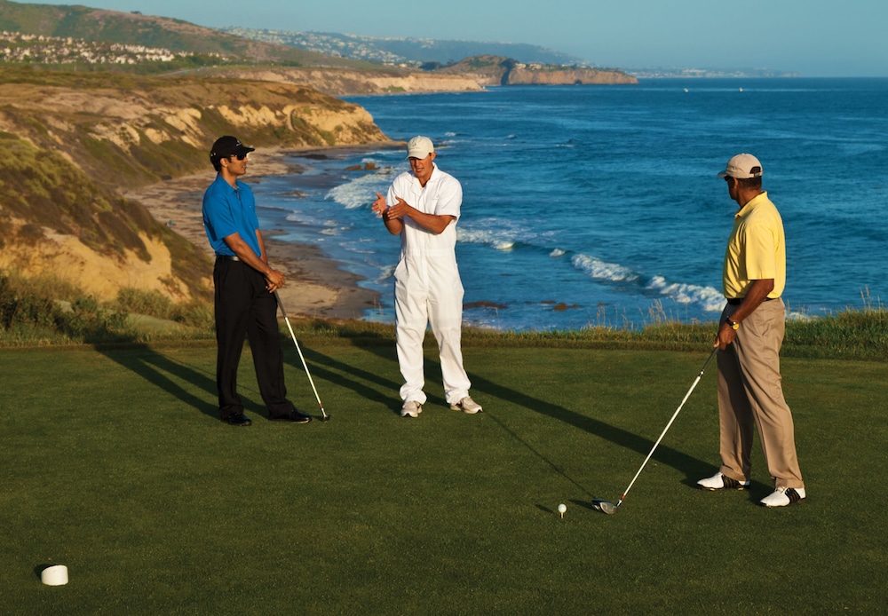 The Resort at Pelican Hill - photo 66