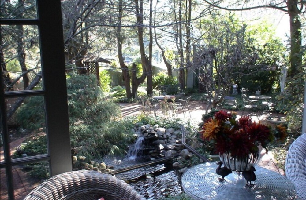 White Birches Inn - photo 5
