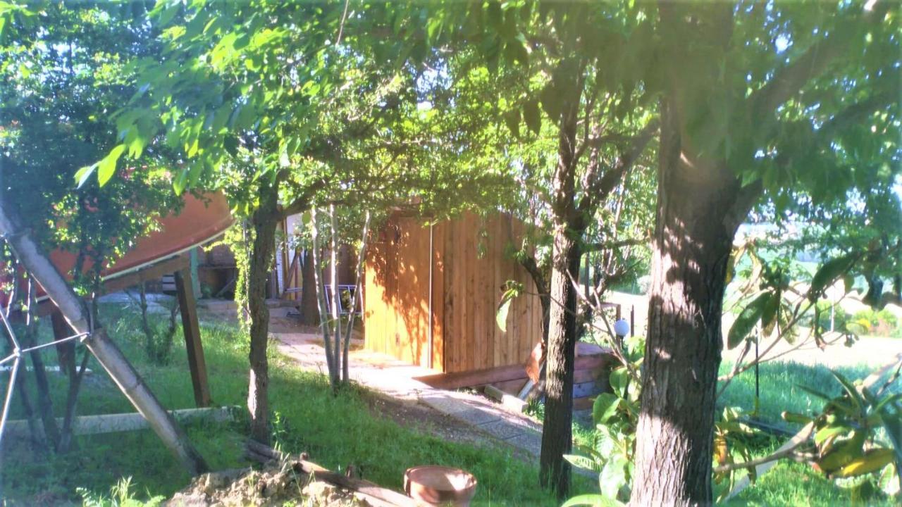 Civettina in Senigallia, Italy