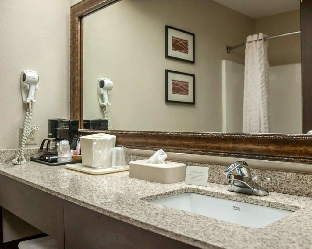 Quality Inn & Suites near St. Louis and I 255 - photo 8